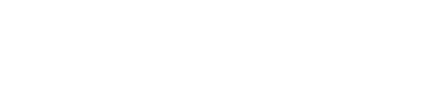 Digital Dynamics Logo
